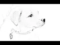 Image to Pencil Sketch