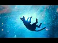 Lagu Navjaxx - Cloudtides (4K Official Music Video)