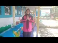 Download Lagu gerak lagu pohon jambu