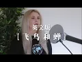 Download Lagu 飞鸟和蝉 Flying Bird and Cicada (英文版 English cover by飞鸟和蝉Jasmine Gibson