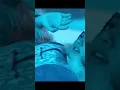 AVATAR THE LAST AIRBENDER NETFLIX