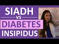 SIADH vs Diabetes Insipidus DI Endocrine System Nursing NCLEX
