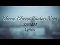 Bheegi Bheegi Raaton Mein | Lyrics | SANAM