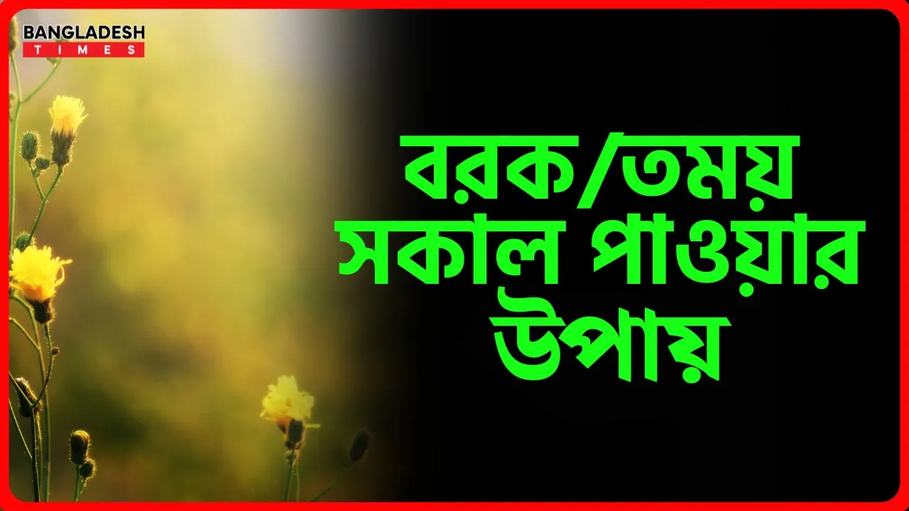 বরকতময় সকাল পাওয়ার উপায় | ইসলামিক টিপস