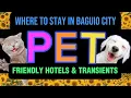 Where to stay in Baguio City Pet Friendly Hotels and Transients