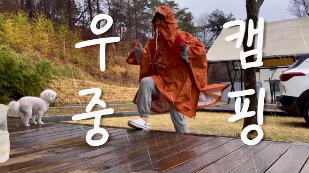 [솔로캠핑] ☔️우중캠핑은 하고 싶은데 텐트 젖기는 싫었슴다 | 애견동반캠핑 | 제드 와일드돔ex | 담양 금성산성오토캠핑장 サムネイル