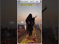 Download Lagu Khunkhar meldi maa bareja dham // ramvadi meldi maa bareja dham #newststus #viral #meldimaa #shorts