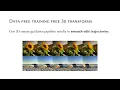 Diffusion Handles CVPR 2024 - Highlight