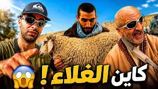 الاثمنة ديال الحولي خرجت على السيطرة والواليد حتى هو 😂