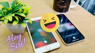 Two Siri Talking Each Other Heysiri Iphone Apple 