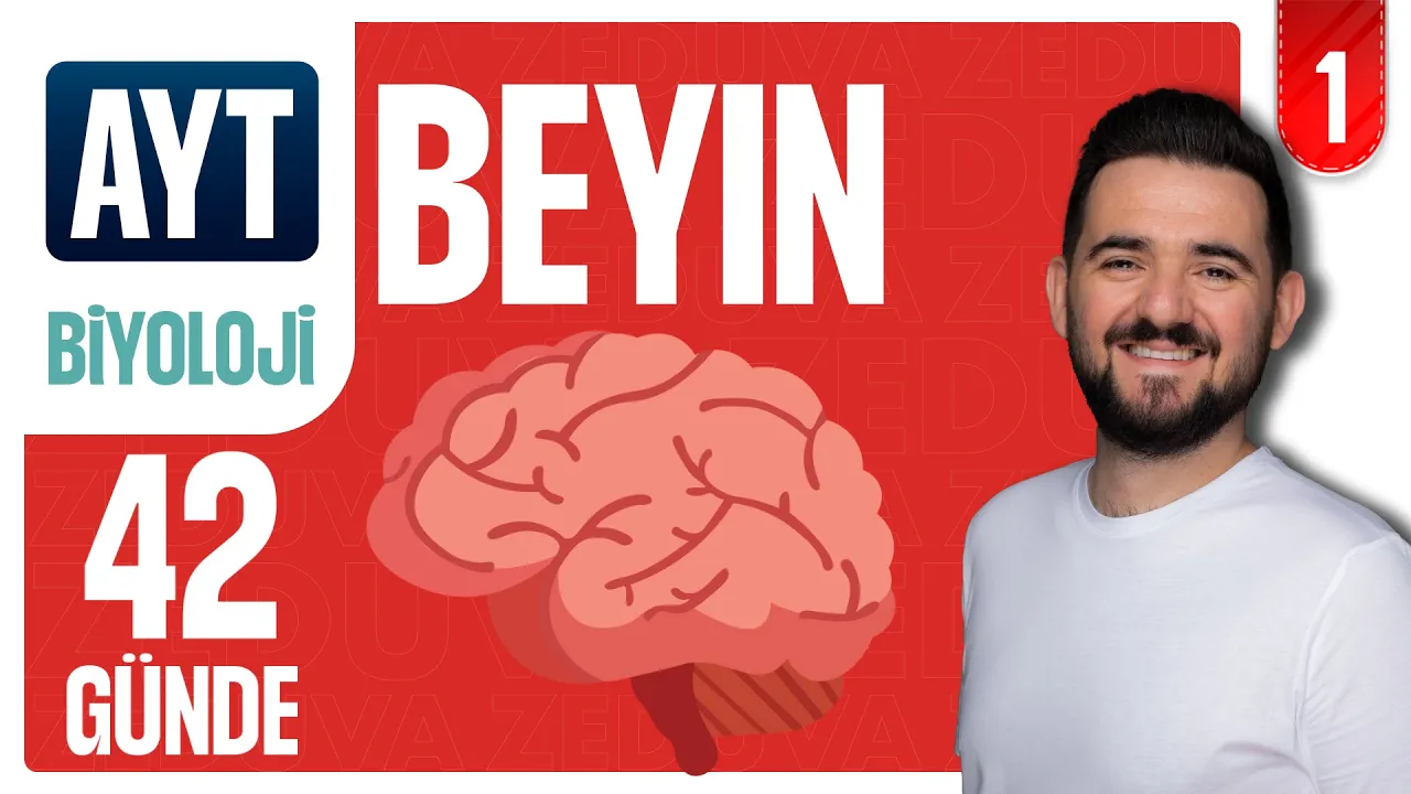 Beyin Yapısı ve Görevleri Soru Çözümü | 42 GÜNDE AYRINTILI AYT BİYOLOJİ KAMPI 2026-2027 | 1.GÜN