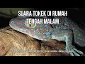 Download Lagu Suara Tokek di Rumah Tengah Malam (Sound of Geckos)