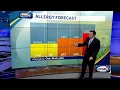 Dry weather raises pollen levels across New Hampshire