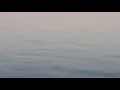 GIF waves