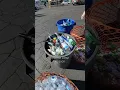 HOW MUCH MONEY CAN I MAKE RECYCLING ALL OF THIS