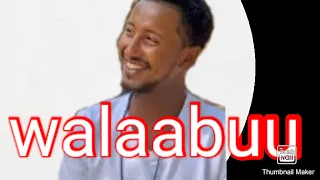 Lencho Gemechu Walaabuu Official Video 