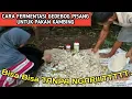 Download Lagu CARA MUDAH FERMENTASI PAKAN KAMBING | MUDAH DAN MURAH PAKAI NASA |0812-1218-5704