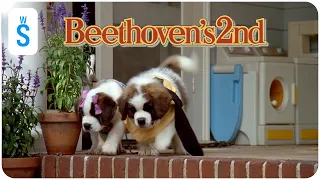 beethovens 2nd 1993 scene no no no no 