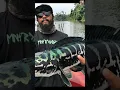 Download Lagu REKOMENDASI IKAN PREDATOR UNTUK DI PELIHARA DI AQUARIUM