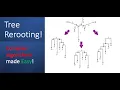 Tree Rerooting DP on trees Advanced algos made easy