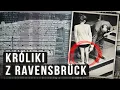 Download Lagu Zbrodnicze eksperymenty na kobietach. Kim były Króliki z Ravensbrück?