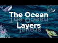 Ocean Layers Song for Kids Learn Sunlight Twilight Midnight Abyss Trenches Zones Sea Animals