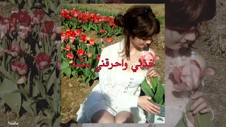 الاغنية التركية المشهورة   إلى أن رأيتك                            مترجمة للعربية         دندنها