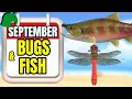 September Bugs Fish Guide Animal Crossing New Horizons Northern Hemisphere