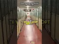 Please consider adopting and saving a life PART 2 -