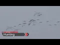 Slow Death Walleye Rigging - Recommended Hooks and Rigs