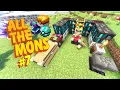 Apothic Enchantment Setup - All the Mons