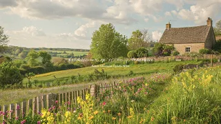 When Life Feels Like A Daydream Relaxing Studying Reading Instrumental Playlist 