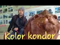 Download Lagu Kolor kondor versi 2024 full lirik asli lagune wong pekalongan batang,roland bk-3