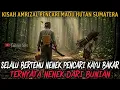 Download Lagu MEETING A FIREWOOD-SEEKING GRANDMA WHILE LOOKING FOR HONEY IN THE FOREST - mystical story