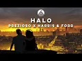 Download Lagu Prezioso x Harris \u0026 Ford feat. Shibui - Halo