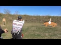 Bayou City Shooters mothly match
