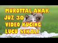 Download Lagu Bacaan Al Quran Murottal Juz Amma Juz 30 Untuk Anak Mudah Dihafal Merdu Didengar Video Kucing