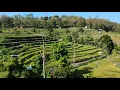 Download Lagu Indonesian terraces