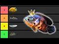 Monster Aquarium Fish Which Ones Are Actually Worth the Space