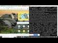 Automatic data scraping and Uploading to Shopify Store using Python