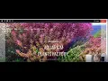 Aquarium Plants Factory Unboxing
