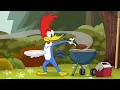 Download Lagu 1 Hora de Pica-Pau | O churrasco do Pica-Pau | Desenhos Animados em Português