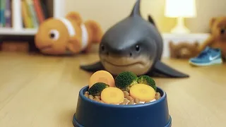 Alimentando o Tuba: Um Dia na Rotina do Nosso Bebê Tubarão de Estimação 🦈✨