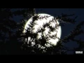 Download Lagu A different moonlight (young mozart)