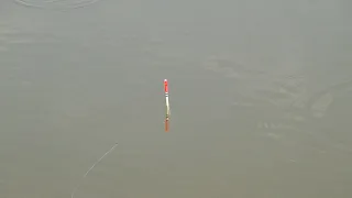 Best Fishing Video Big catch in Bor Beel Area