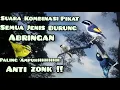 Download Lagu Suara Kombinasi Pikat Burung Abringan - SuaraPikatSemuaJenisBurungAbringan-Jejak Abringan Channel
