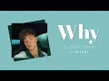 Why - Zach Herron (LYRICS)