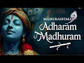 Adharam Madhuram Lofi   Krishna Bhajan   Bhakti Song   Bhajan Song   Madhurashtakam