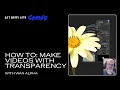 Wan Alpha in ComfyUI Generate s with Transparency