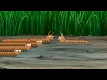 You are an imposter - Family Guy